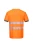 T181OGY_R.webp