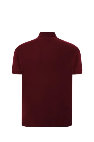 jt-polo-ca-s_02_s.webp