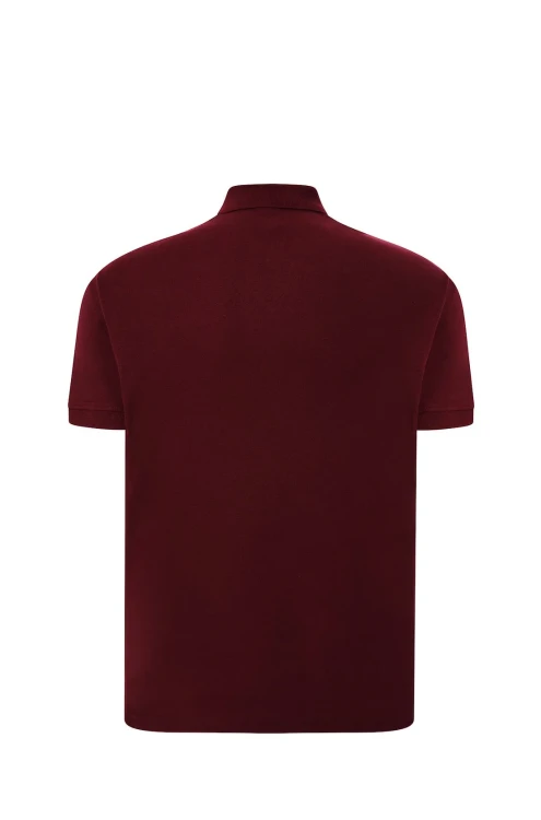 jt-polo-ca-s_02_s.webp