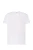 ts-ocean-wh-l_01_s.webp