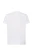 ts-ocean-wh-l_02_s.webp