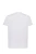 tsr-160-comb-as-l_02_s.webp