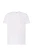 tsra-190-wh-l_01_s.webp