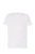 tsua-150-wh-l_01_s.webp