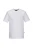 AS20WHR.webp